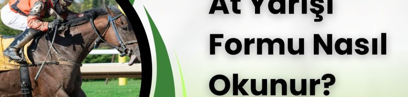 At Yarışı Formu Nasıl Okunur